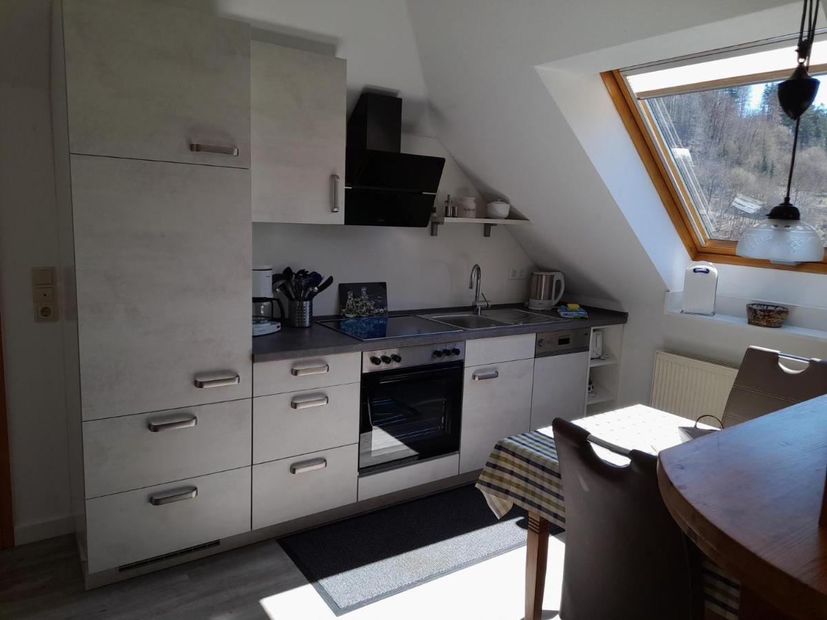 维林根Haus Elsholz Willingen公寓 外观 照片