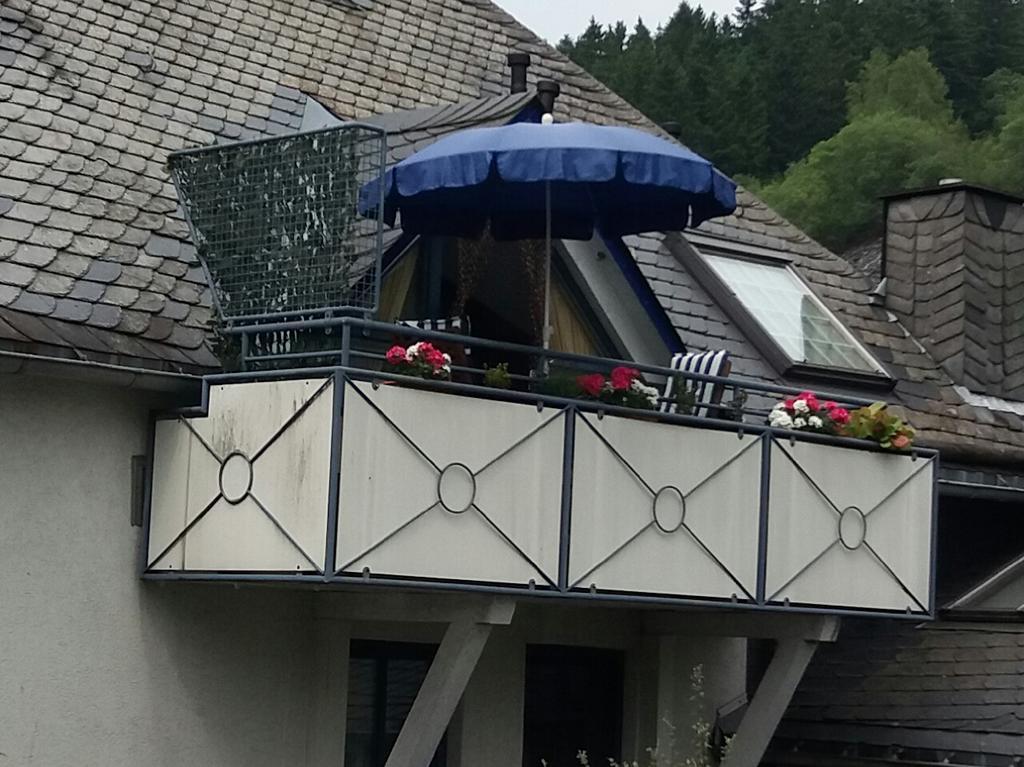 维林根Haus Elsholz Willingen公寓 外观 照片