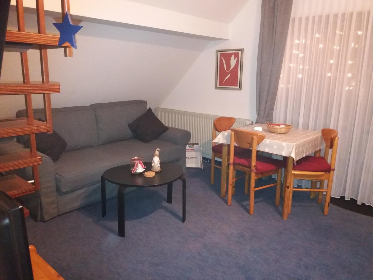 维林根Haus Elsholz Willingen公寓 外观 照片